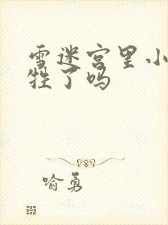 雪迷宫里小光牺牲了吗