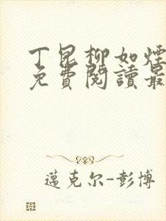 丁昆柳如烟小说免费阅读最新章节