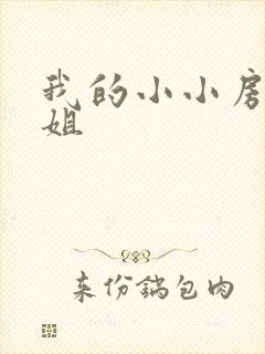 我的小小房东小姐