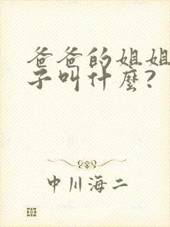 爸爸的姐姐的儿子叫什么?