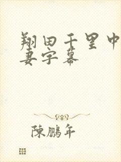 翔田千里中文人妻字幕
