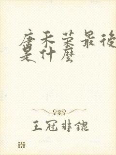 唐禾荣最后结局是什么封面