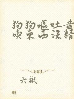 狗狗呕吐黄水不吃东西没精神