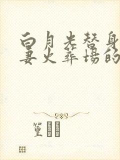 白月光替身梗追妻火葬场的文