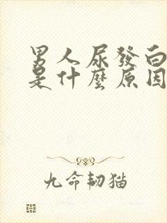 男人尿发白浑浊是什么原因引起的