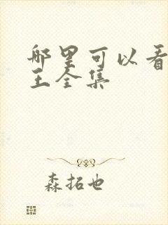 哪里可以看海贼王全集