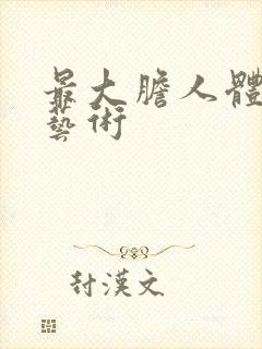 最大胆人体裸体艺术封面