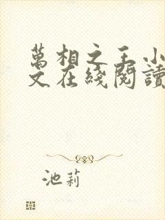 万相之王小说全文在线阅读