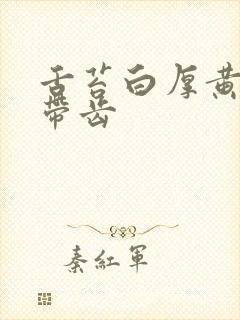 舌苔白厚黄舌尖带齿