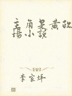 主角是黄政的官场小说