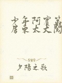 少年阿宾第一章房东太大阅读