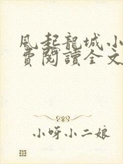 风起龙城小说免费阅读全文