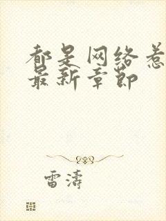 都是网络惹的祸最新章节