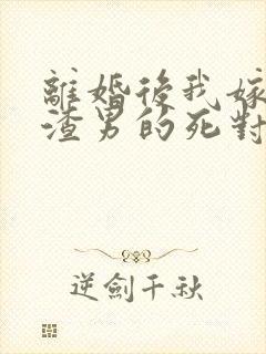 离婚后我嫁给了渣男的死对头