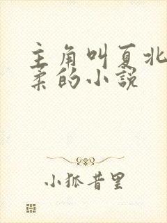 主角叫夏北许馨柔的小说