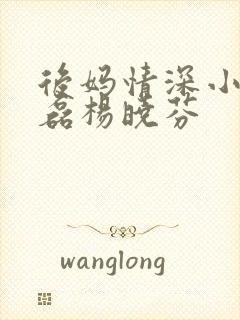 后妈情深小说王磊杨晓芬