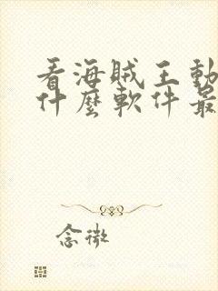 看海贼王动漫用什么软件最好封面