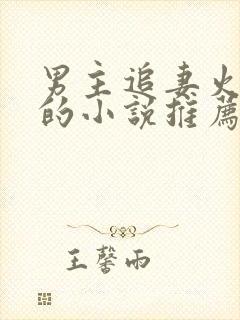 男主追妻火葬场的小说推荐