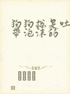 狗狗总是吐黄水带泡沫的