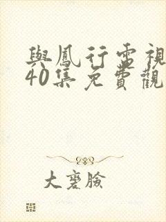 与凤行电视剧全40集免费观看