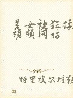 美女被狂揉大胸视频网站