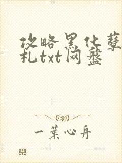 攻略黑化孽徒手札txt网盘