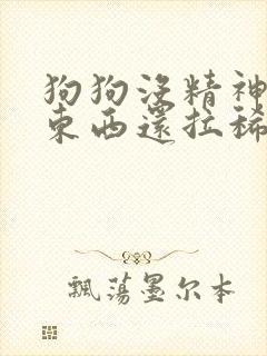 狗狗没精神不吃东西还拉稀怎么办