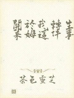 关于我转生成史莱姆这件事小说