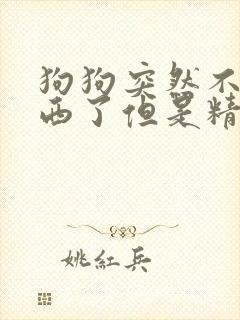 狗狗突然不吃东西了但是精神很好