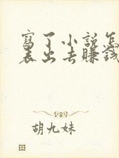 写了小说怎么发表出去赚钱封面