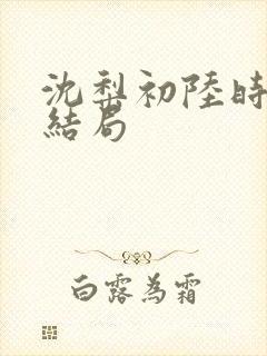 沈梨初陆时霁大结局封面