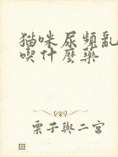 猫咪尿频乱尿,吃什么药封面