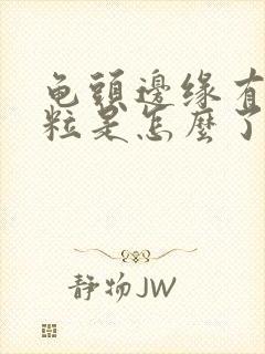 龟头边缘有小肉粒是怎么了封面