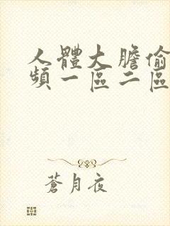 人体大胆偷拍视频一区二区