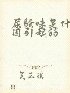 尿骚味是什么原因引起的