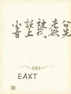 小说被老公兄弟看上我欲先欲死封面