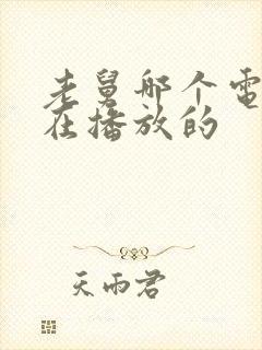 老舅哪个电视台在播放的