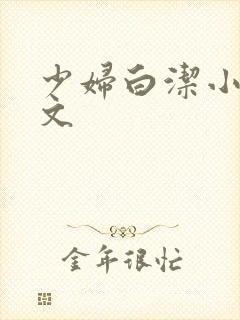 少妇白洁小说全文