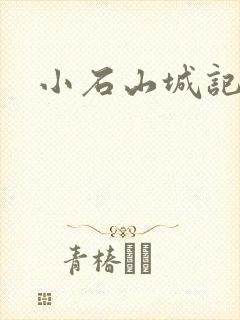 小石山城记封面