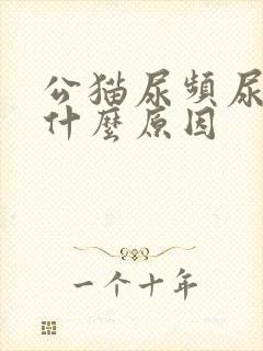 公猫尿频尿少是什么原因