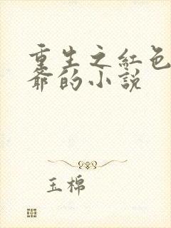 重生之红色太子爷的小说