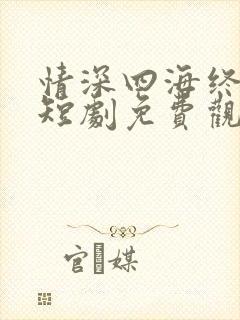 情深四海终成空短剧免费观看