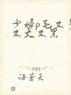 少妇p毛又多水又大又黑