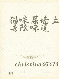 猫咪尿墙上怎么去除味道