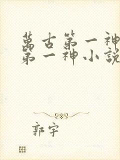万古第一神万古第一神小说