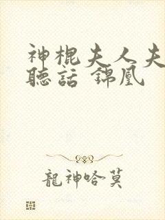 神棍夫人夫君要听话 锦凰