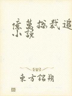 亿万总裁追妻忙小说封面