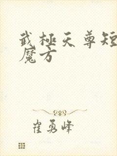 武极天尊短剧3魔方