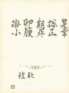 排卵期总是一侧小腹疼正常吗封面