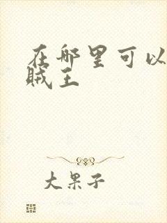 在哪里可以看海贼王